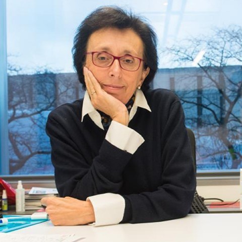 Prof. Giulia Galli