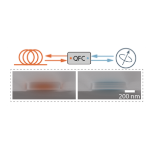 Programmable InGaP nanophotonic waveguide for QFC