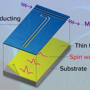 Two layers of the device are shown separately to clarify the coupling between them. Spin waves in the thin film excite microwaves in the L-shaped superconducting circuit. The microwaves then travel to the rest of the device through the path indicated by the wavy arrows.