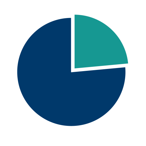 pie chart